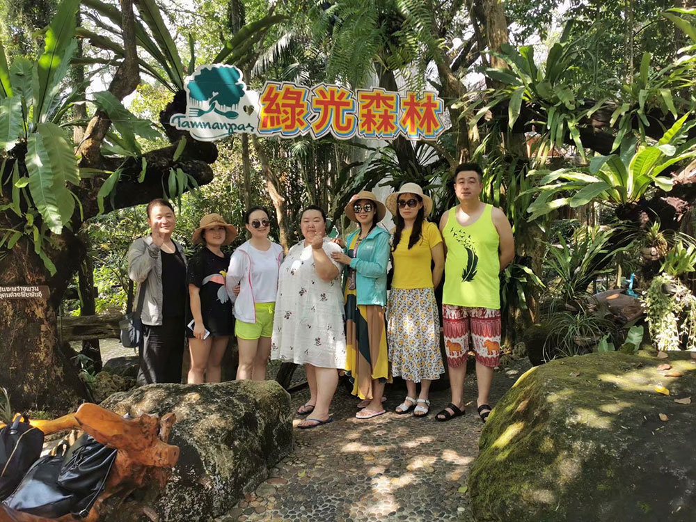 出發(fā)在鴻成，暢爽泰國(guó)游(圖2)