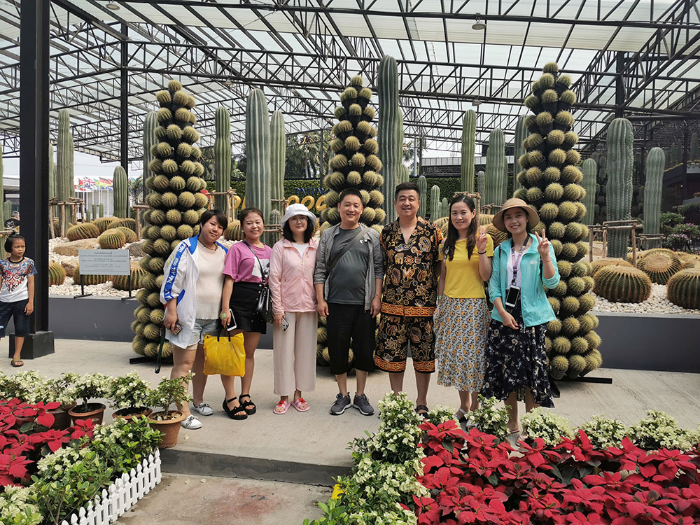 出發(fā)在鴻成，暢爽泰國(guó)游(圖3)